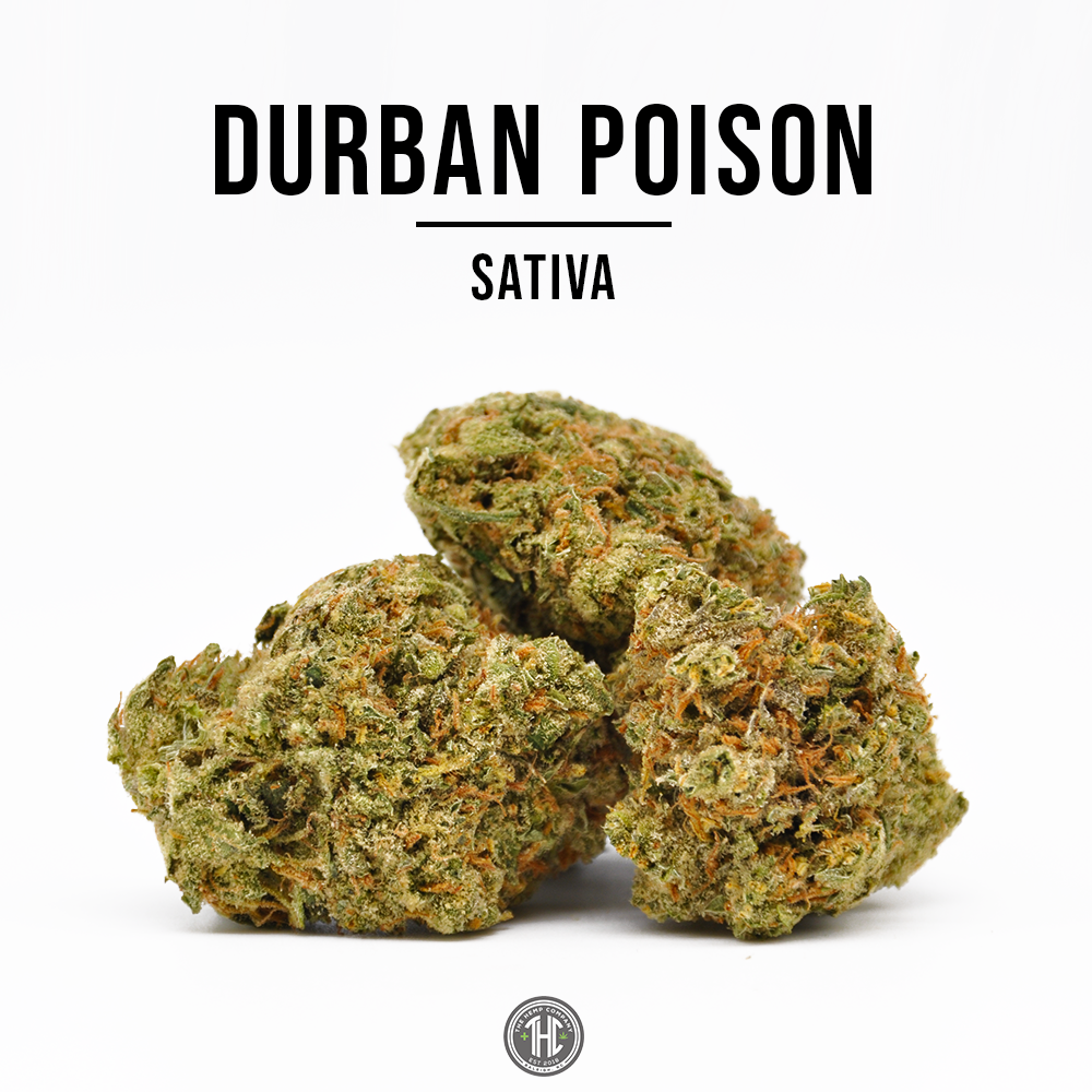 flower CBD Durban Poison | Legal Cannabis | Wholesale CBD